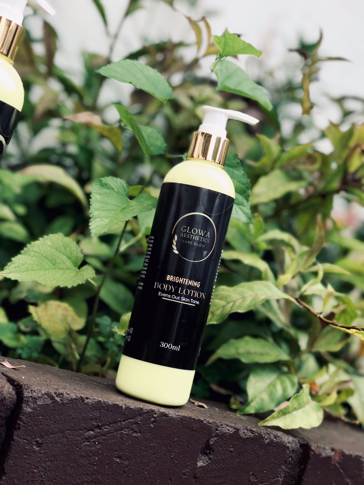 WhatsApp Image 2022-04-05 at 12.28.59 PM